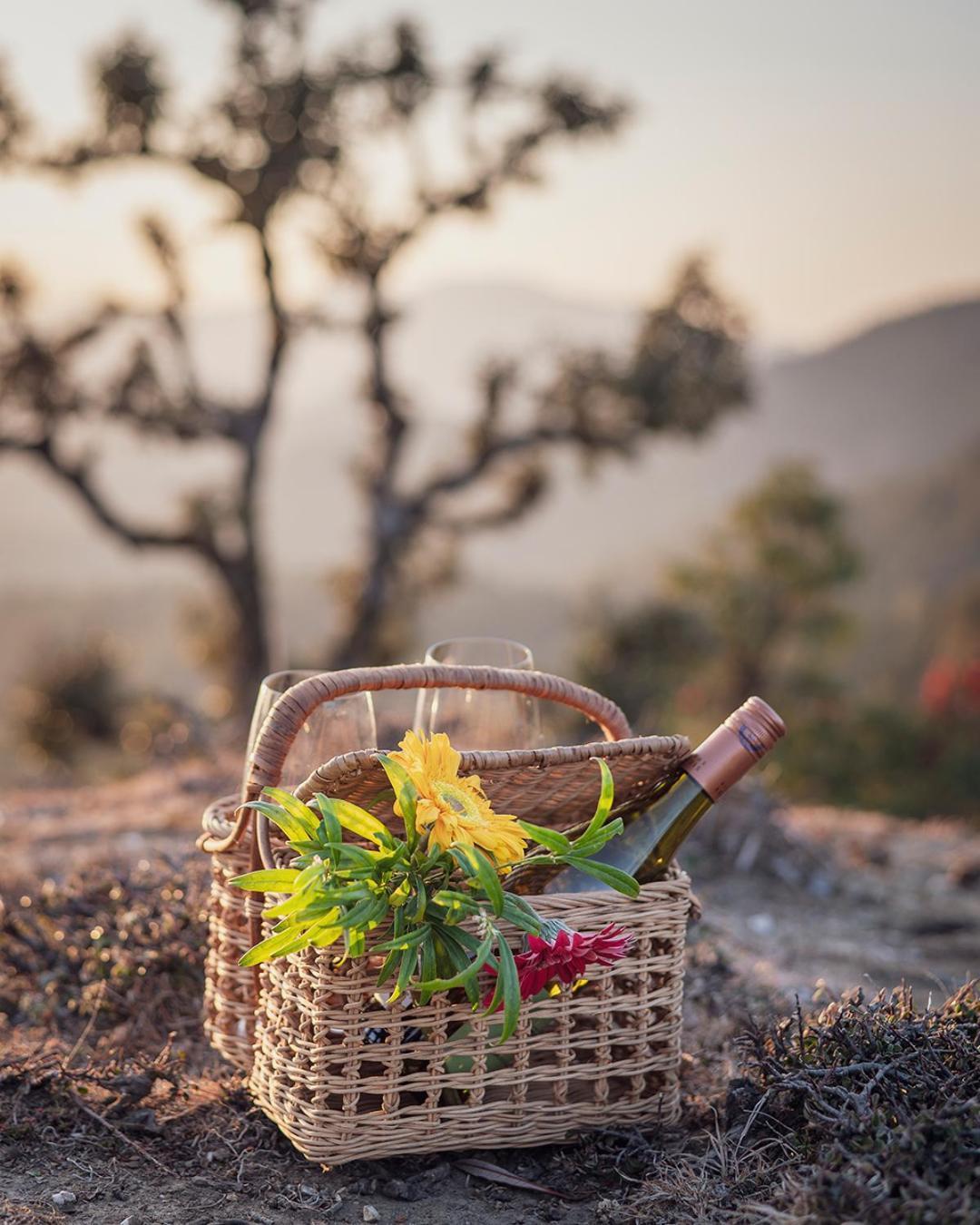 The Birdcage, Mukteshwar Ξενοδοχείο Εξωτερικό φωτογραφία